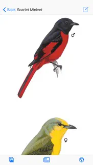 eguide to birds of the indian subcontinent iphone images 1