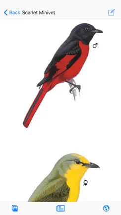 EGuide to Birds of the Indian Subcontinent iPhone image 1