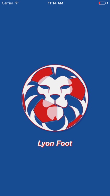 Lyon Foot By Matthieu Passerel