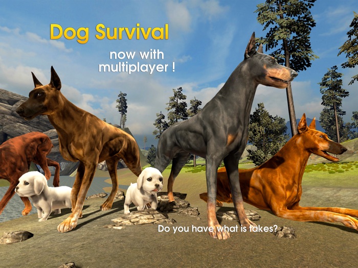 Dog Survival Simulator