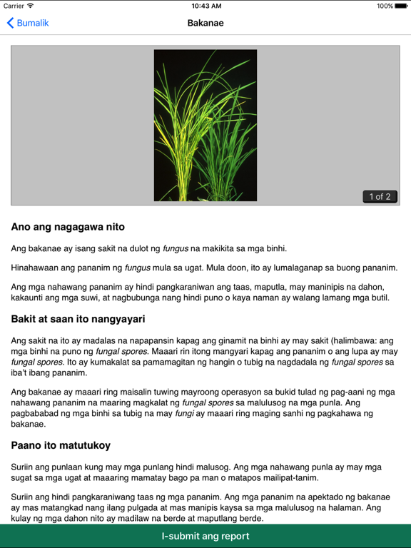 Rice Doctor Tagalogのおすすめ画像4