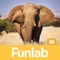 Nature Sounds of Africa our mobile edition app is specifically designed for kids ages 5 and under