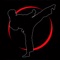 Learn about the incredible martial art "Taekwondo" with this app that will show you all aspects of training and drills through 216 instructional videos