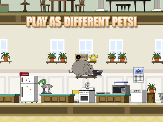 Скачать игру Clumsy Cat