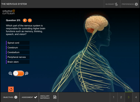 Exploring the Nervous System screenshot 3