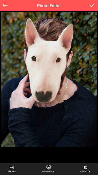 Screenshot #3 pour Animal Faces Photo Editor - Animal Faces Booth