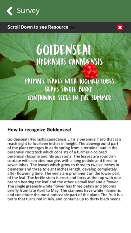 PlantShoe screenshot-3