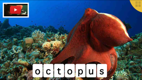 ABC Animals - Your Alphabet Letters Mini Adventure screenshot