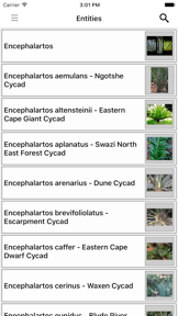 IDentifyIt Cycads screenshot