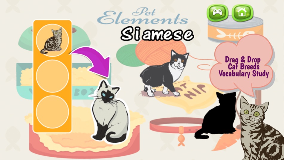 Cats And Kittens Shadow Matching Game - 1.0 - (iOS)
