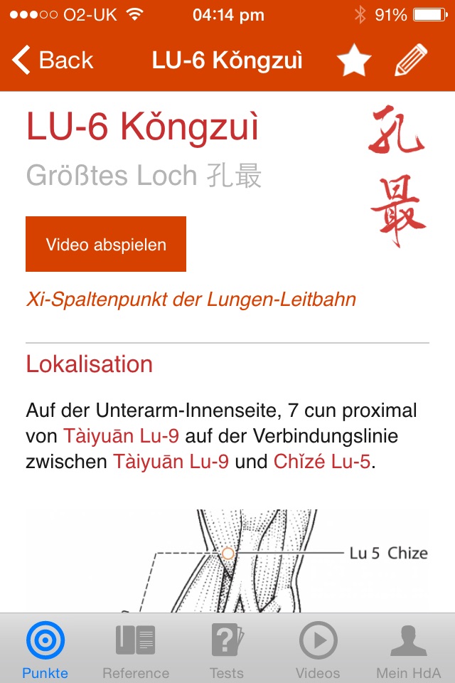 Handbuch Akupunktur (A Manual of Acupuncture) screenshot 2