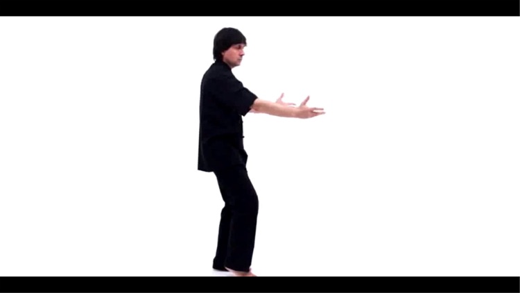 ANATOMY & TAI CHI AR screenshot-4