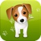 Dog Whistle Trainer -Clicker Training