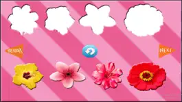 Game screenshot Fun Learning Flower Shapes Sorting game for kids apk