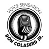 Voice-Sensation