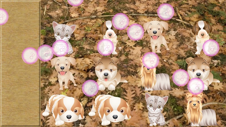 Match Game for Toddlers & Kids with Puppies & Cats screenshot-3