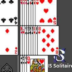 Activities of NS Solitaire