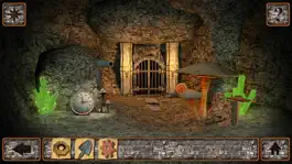 Game screenshot Cryptic Labyrinth apk