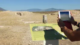 Game screenshot Millares Virtual apk