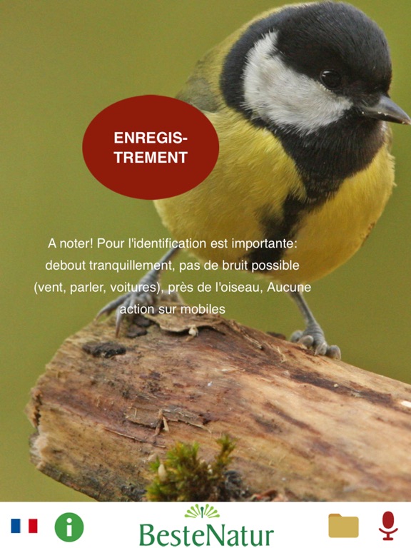 Screenshot #4 pour Oiseaux chanteurs - reconnaître la chanson