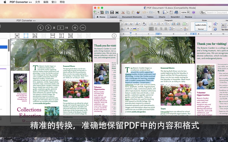 PDF Converter ++