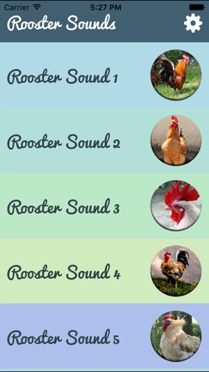 Rooster Sound – Rooster Crowing Sound(圖2)-速報App