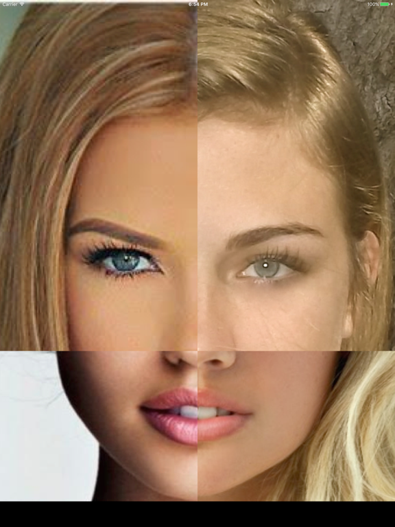 Make a Face iPad screenshot 5 - Photo & Video app