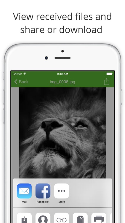 Filemail: Send photo & video files