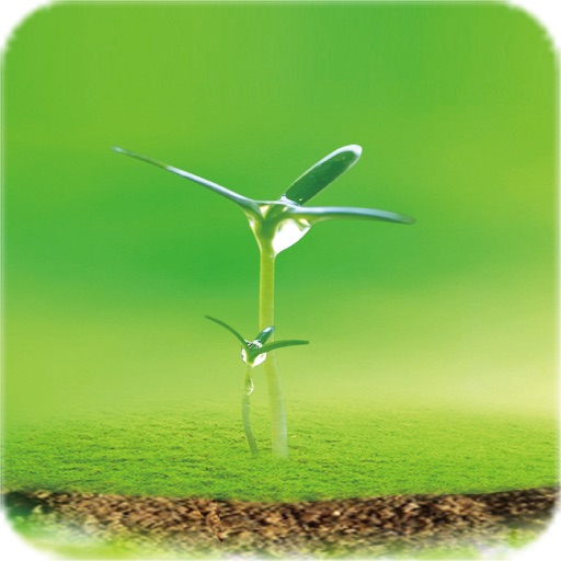 瑞安测土配方施肥