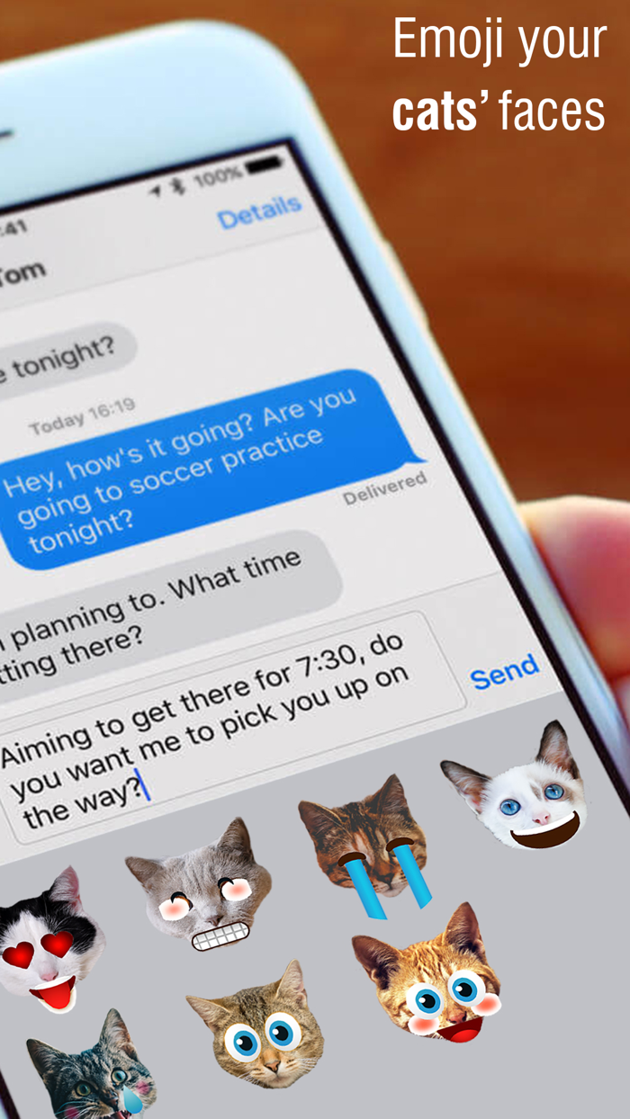 Emoji My Cat Make Custom Emojis of Cats Photos