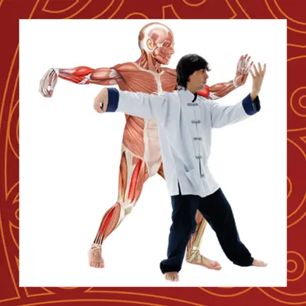 ANATOMY & TAI CHI AR Читы