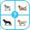 Entertain yourself for hours with our guess the Dog game, a free trivia and word game, it's real time consumiang Dog puzzle, amuse your brain with a mind blowing Dog quiz guessing up game, play any time and everywhere, as we promise you fun is guaranteed