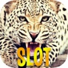 Snow Leopard Desert Slot Machines - Big Win Casino