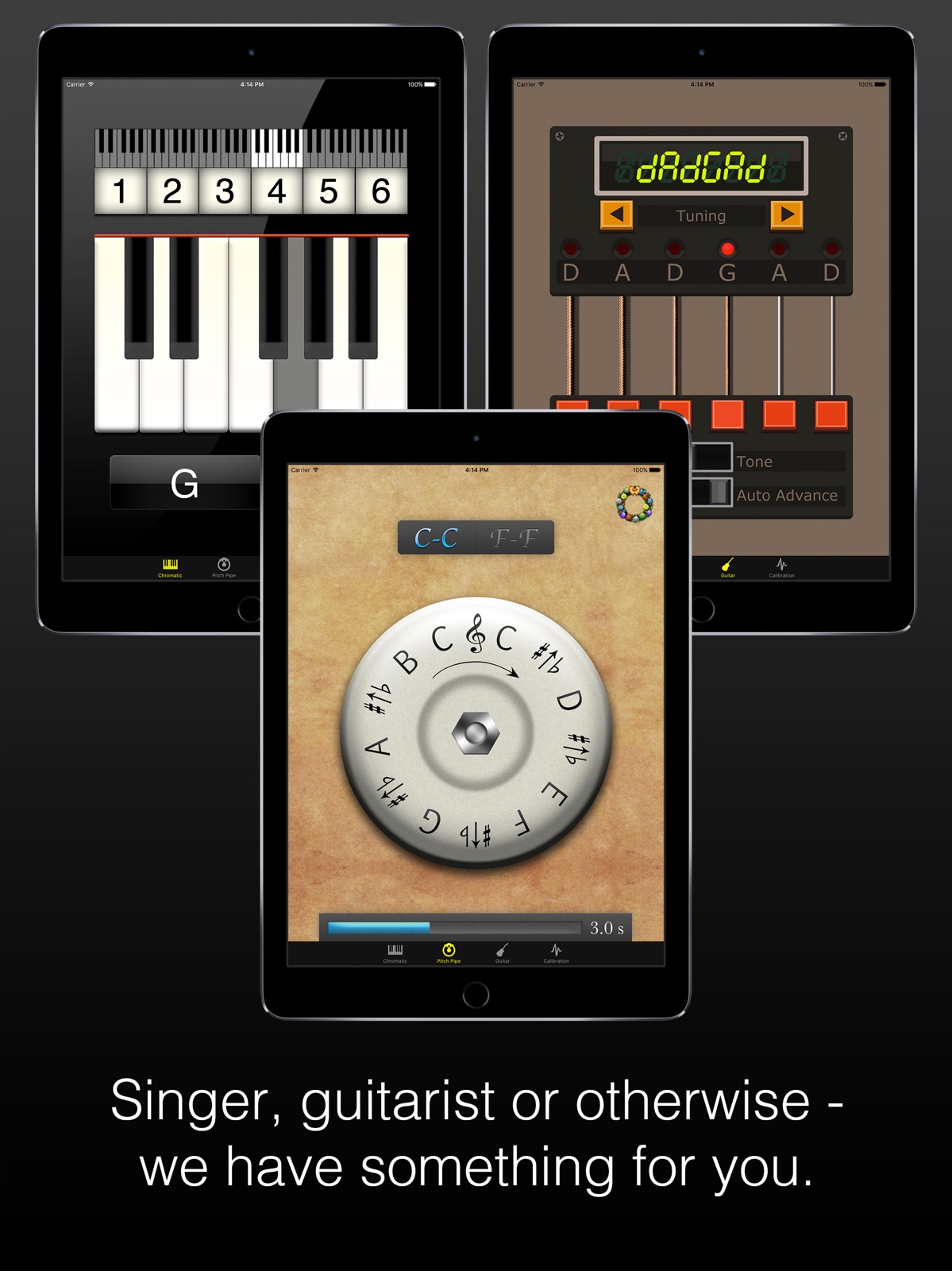 Pitch Pipe+ ipad screenshot 1