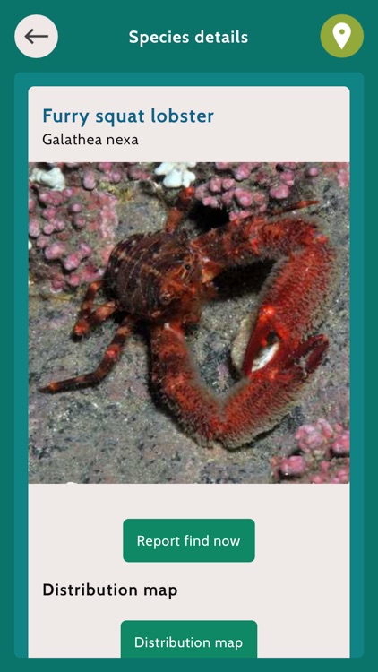 Baltic Explorer screenshot-4