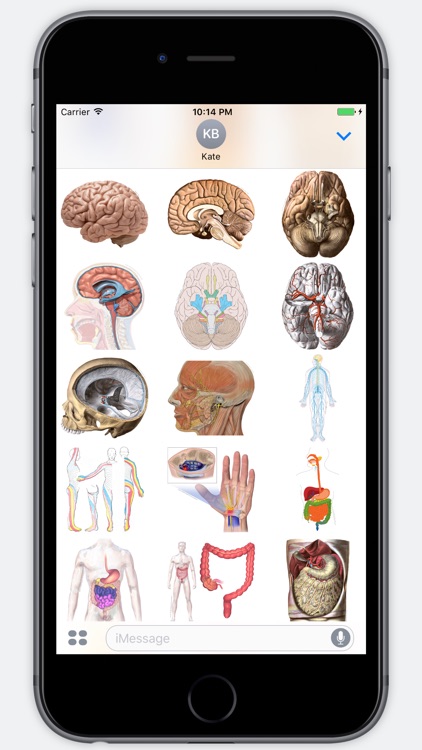 Anatomy Stickers screenshot-3