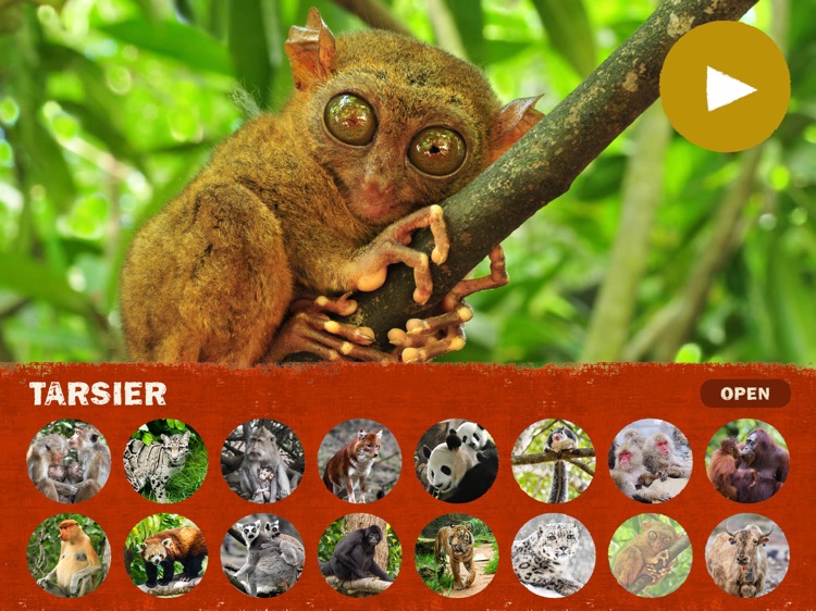 Nature Sounds Asia screenshot-4