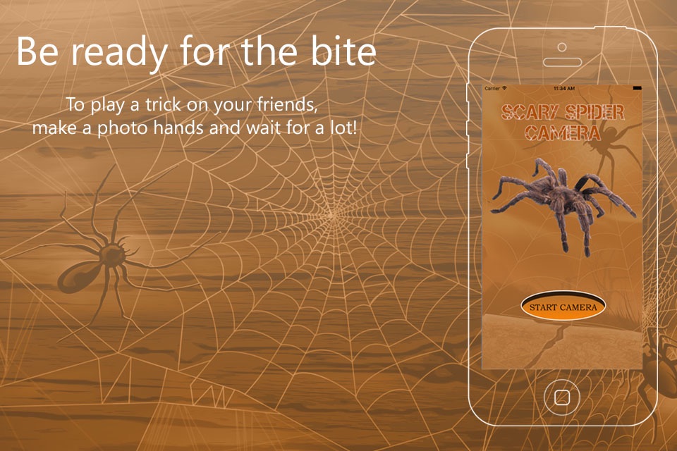 Spider Scare Prank - Magic Spider screenshot 2