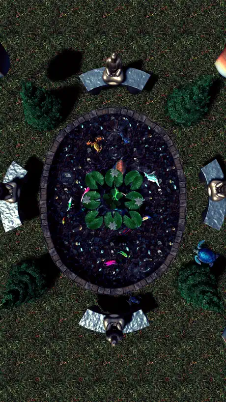 Zen Pond