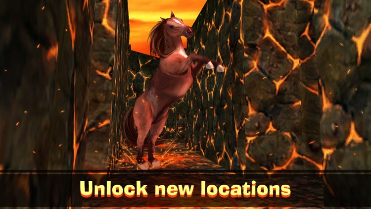 Wild Horse Maze Escape Simulator