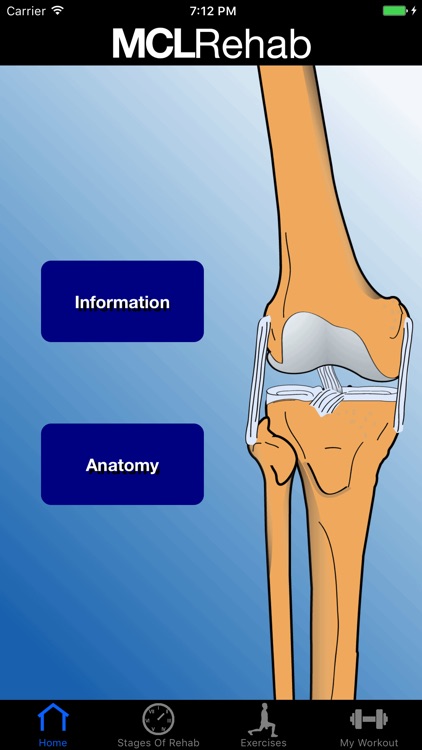 MCL Rehab