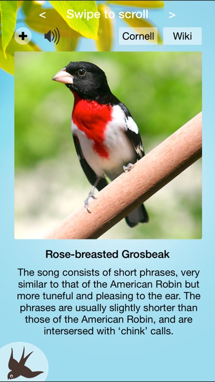 Chirp! Bird Songs USA +