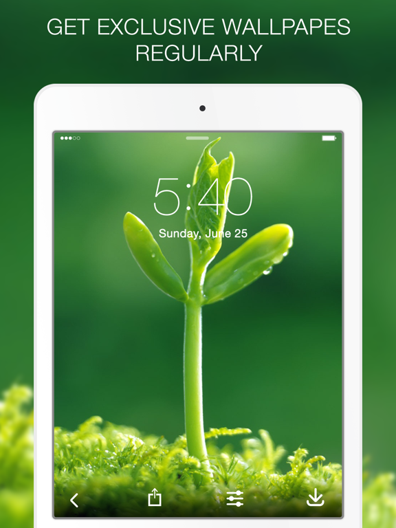 Screenshot #6 pour Green Wallpapers & Green Backgrounds