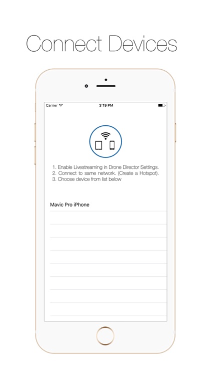 Copilot - Dual Display