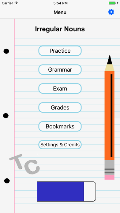 Screenshot #2 pour Irregular Nouns