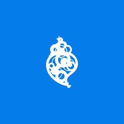 Póvoa de Lanhoso - Currículo Local