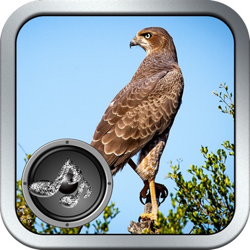 Bird song Silvestes iOS App