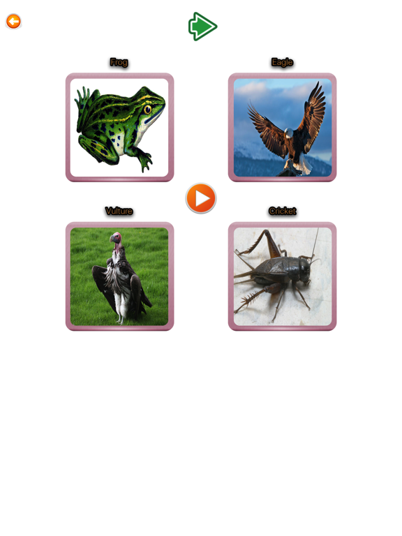 Screenshot #5 pour Animal Finger Family Songs & More Nursery Rhymes