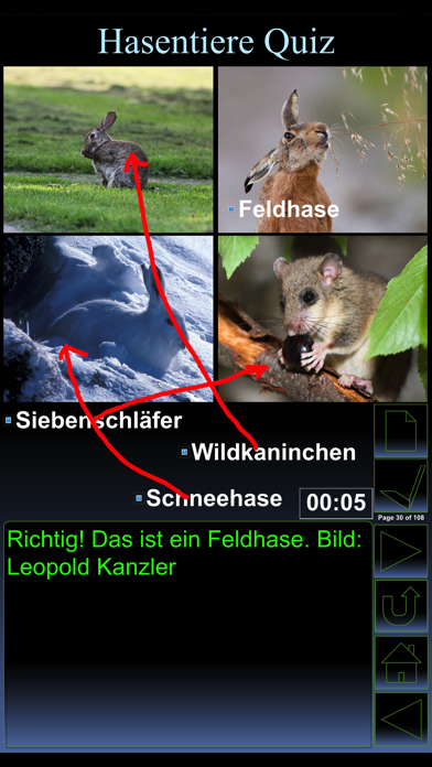 iWildlife Wildlife Screenshot