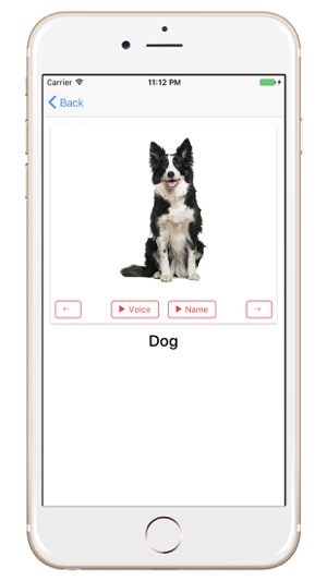 Animals Guide for Kids(圖2)-速報App